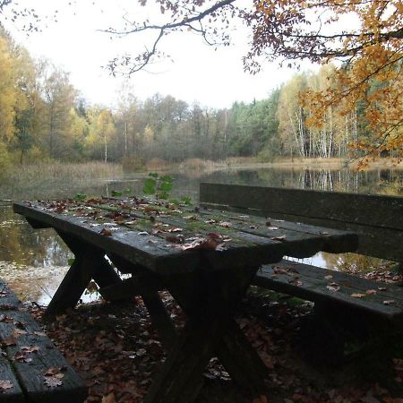 Ferienwohnung Bockelt Stadtlauringen Экстерьер фото