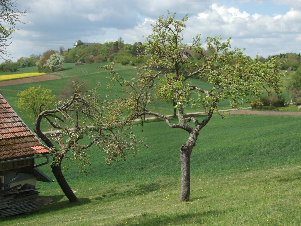 Ferienwohnung Bockelt Stadtlauringen Экстерьер фото