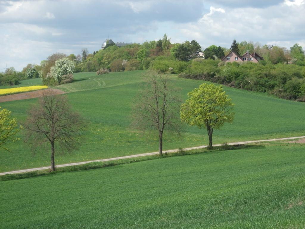 Ferienwohnung Bockelt Stadtlauringen Экстерьер фото
