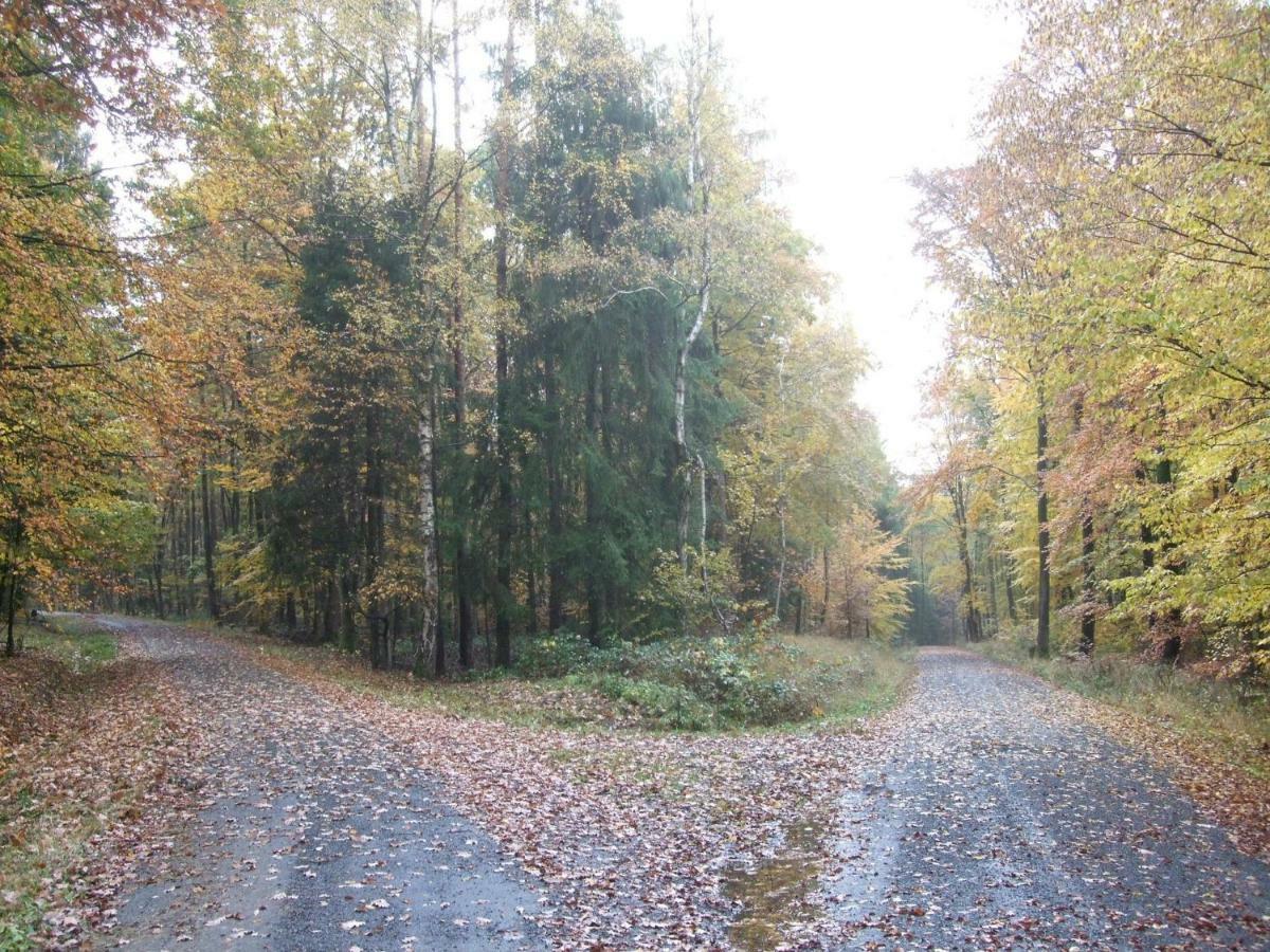Ferienwohnung Bockelt Stadtlauringen Экстерьер фото